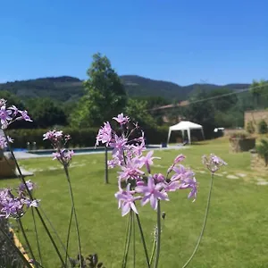 Bed & Breakfast Alba Morus Bed & Breakfast Sentiti A Casa Nel Cuo, Arezzo